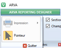 EIM Arva Reporting Designer